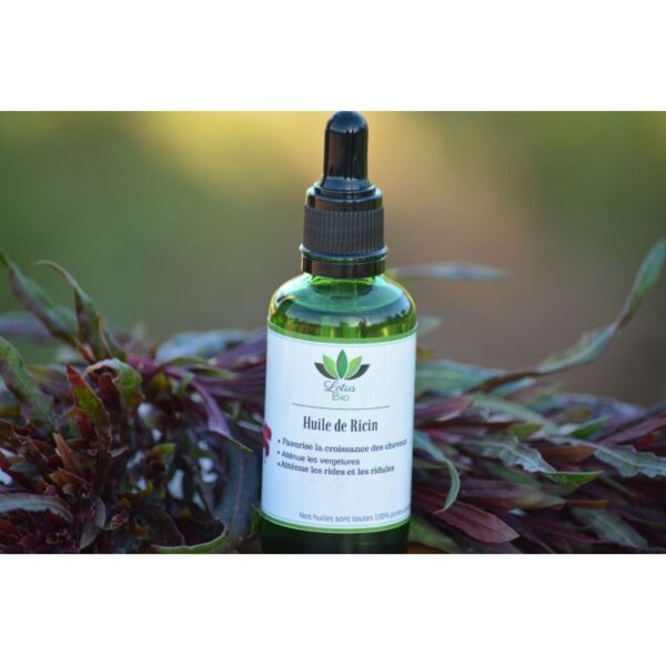 Lotus Bio Huile De Ricin