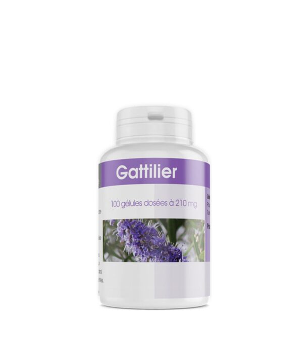 GPH DIFFUSION GATTILIER 100 GELULES