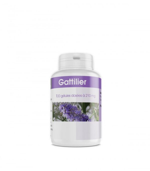 GPH DIFFUSION PISENLIT 100 GÉLULES